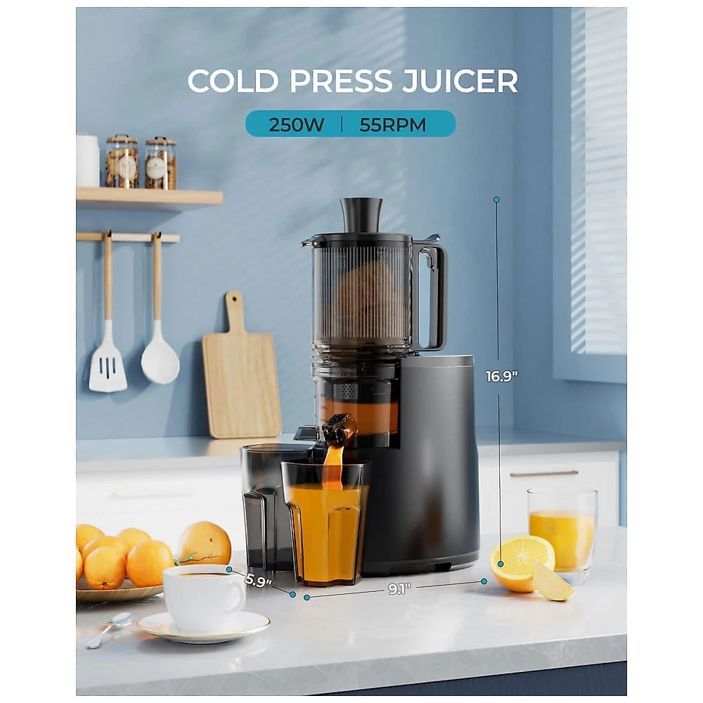 Extrator de Sucos a Frio, EUHOMY 14,5 cm de Boca de Alimentação Extra Grande, Extrator de Sucos Lento, 250W, Alto Rendimento de Suco, para Frutas e Ve