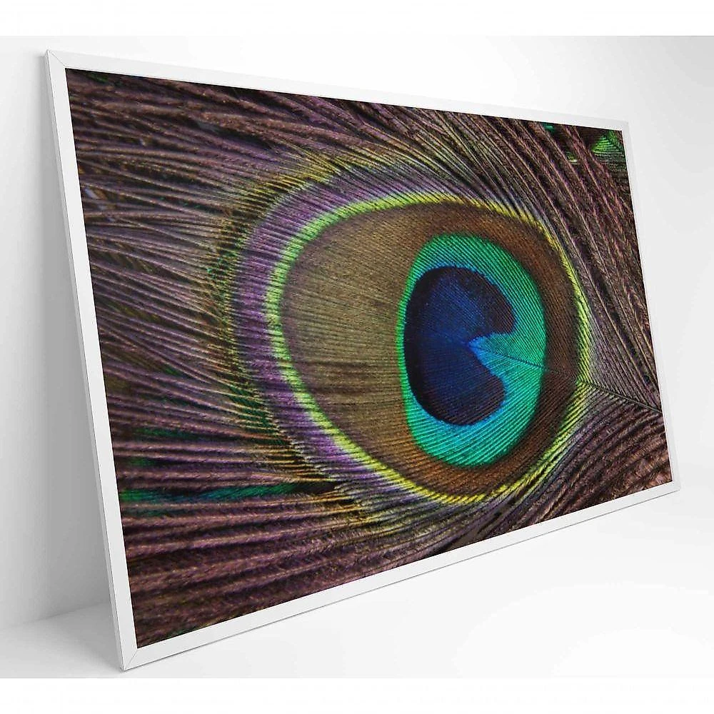 Quadro Penas De Pavão 120x80 Cm Adesivo Fotográfico