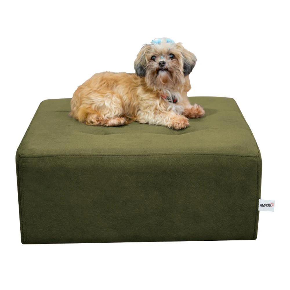 Cama Box E Pet Quadrado Com Pés Com Alumínio Chumbo