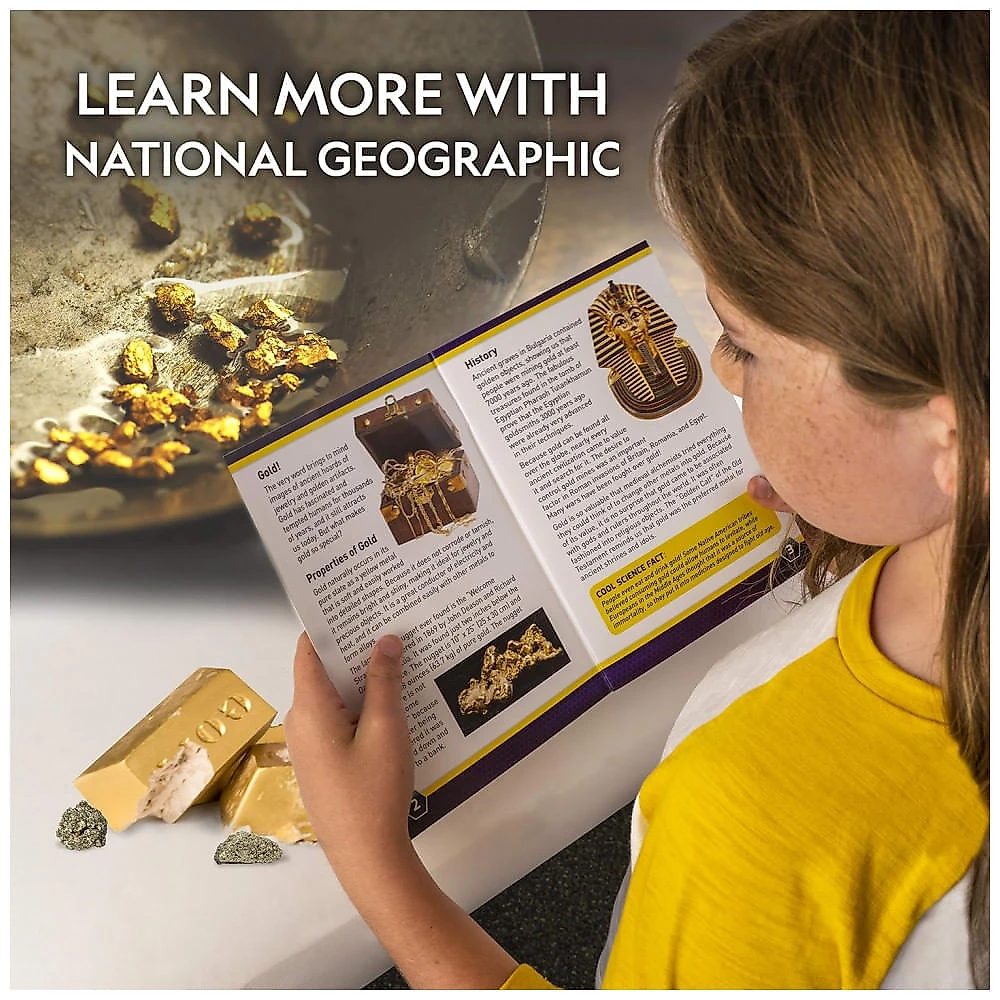 National Geographic Fool’s Gold Dig Kit Party Pack – 12 Gold Bar Dig Bricks com 2-3 Especimens de Pirita, Kit Educacional STEM para Crianças
