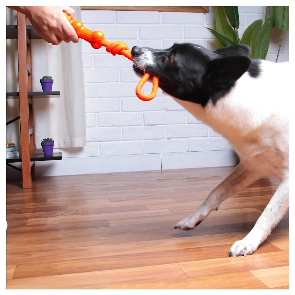 Brinquedo de Corda Kroco Puxador Laranja - Tam. Único