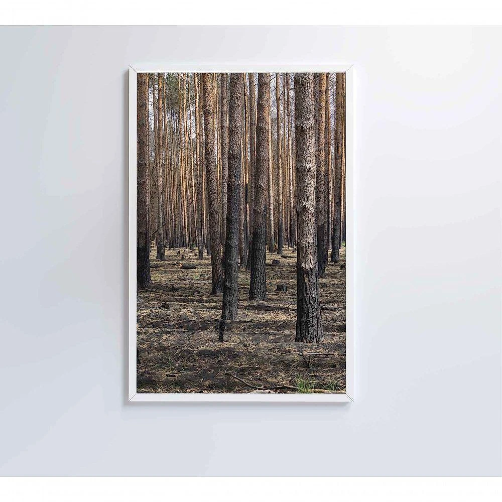 Quadro Eucaliptos 40x60 Cm Vidro Impresso
