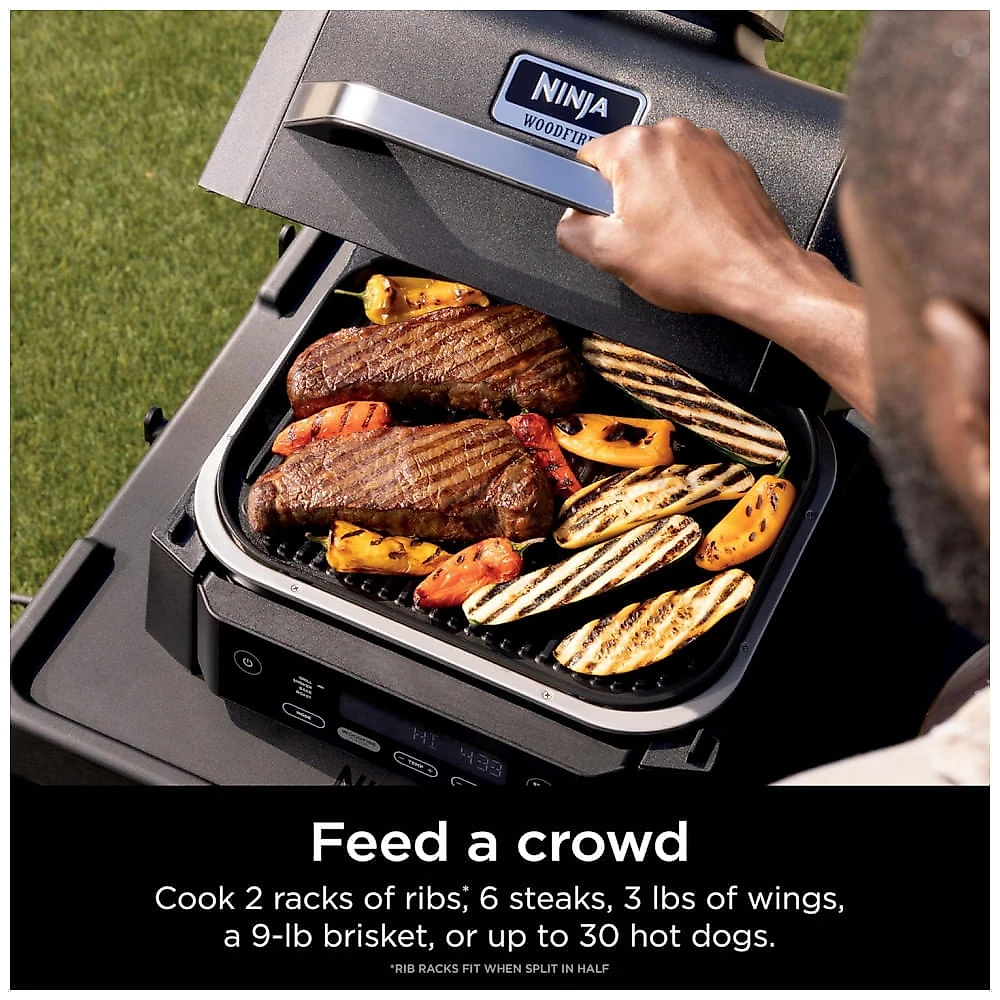 Churrasqueira Elétrica Ninja Woodfire Outdoor Grill & Smoker 4 em 1 OG301 1760W 110V