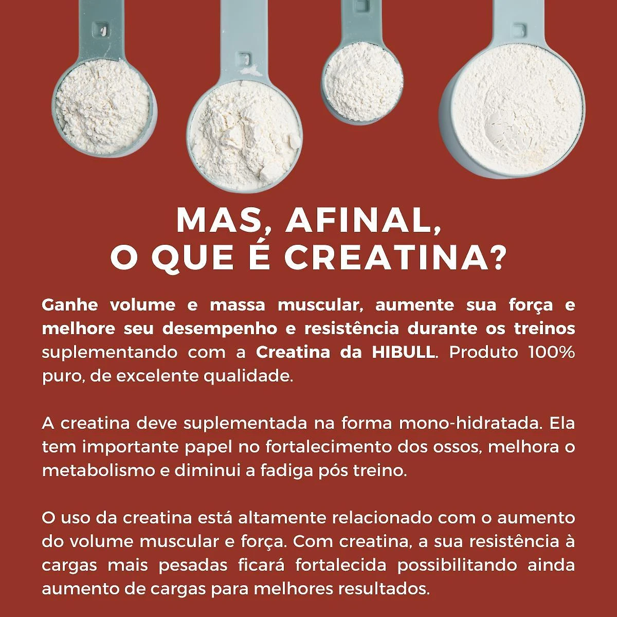 Creatina 300G Creatine Pure Monohydrate Powder Hibull