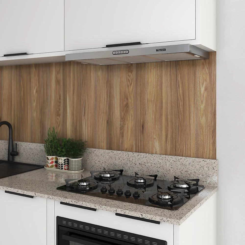 Depurador Terim Compact New Embutir Inox 75 cm Inox 110V