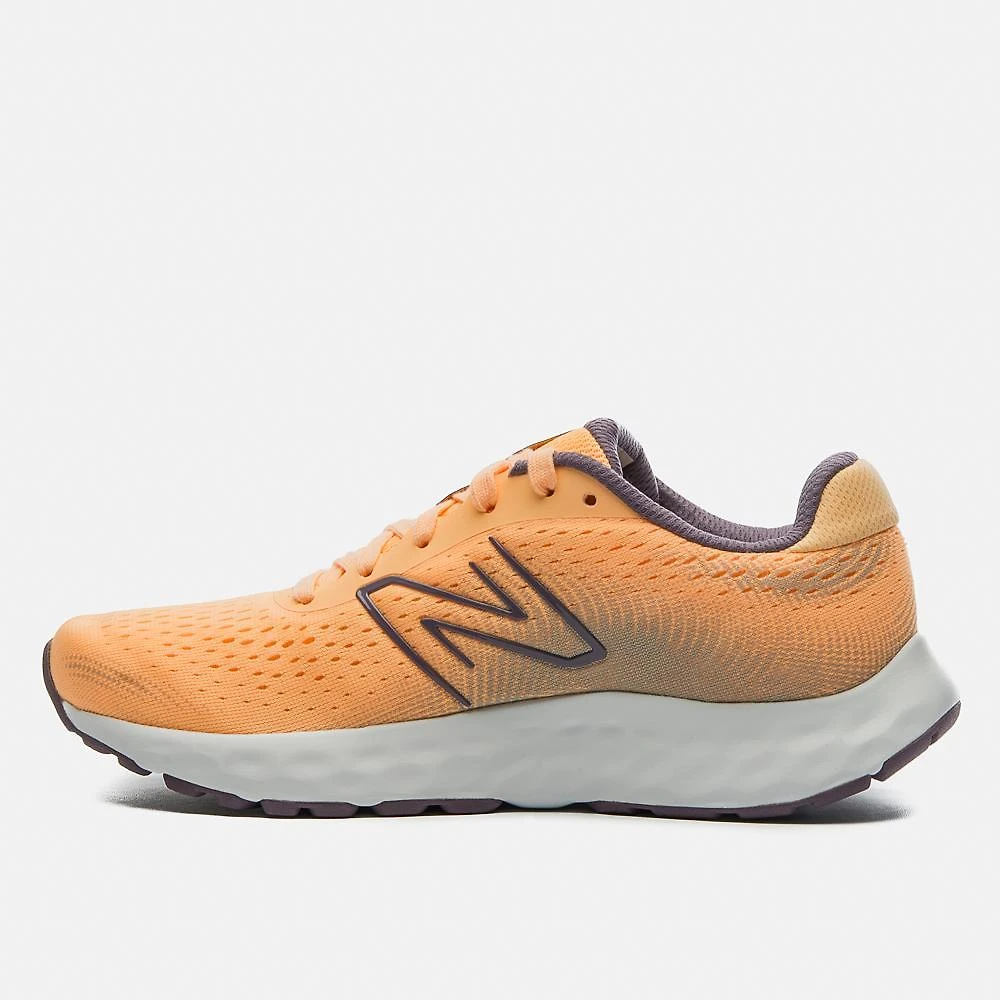 Tênis new balance 520v8 feminino