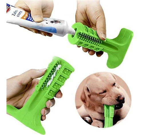 Escova De Dente E Mordedor Para Cães Petlon Verde M