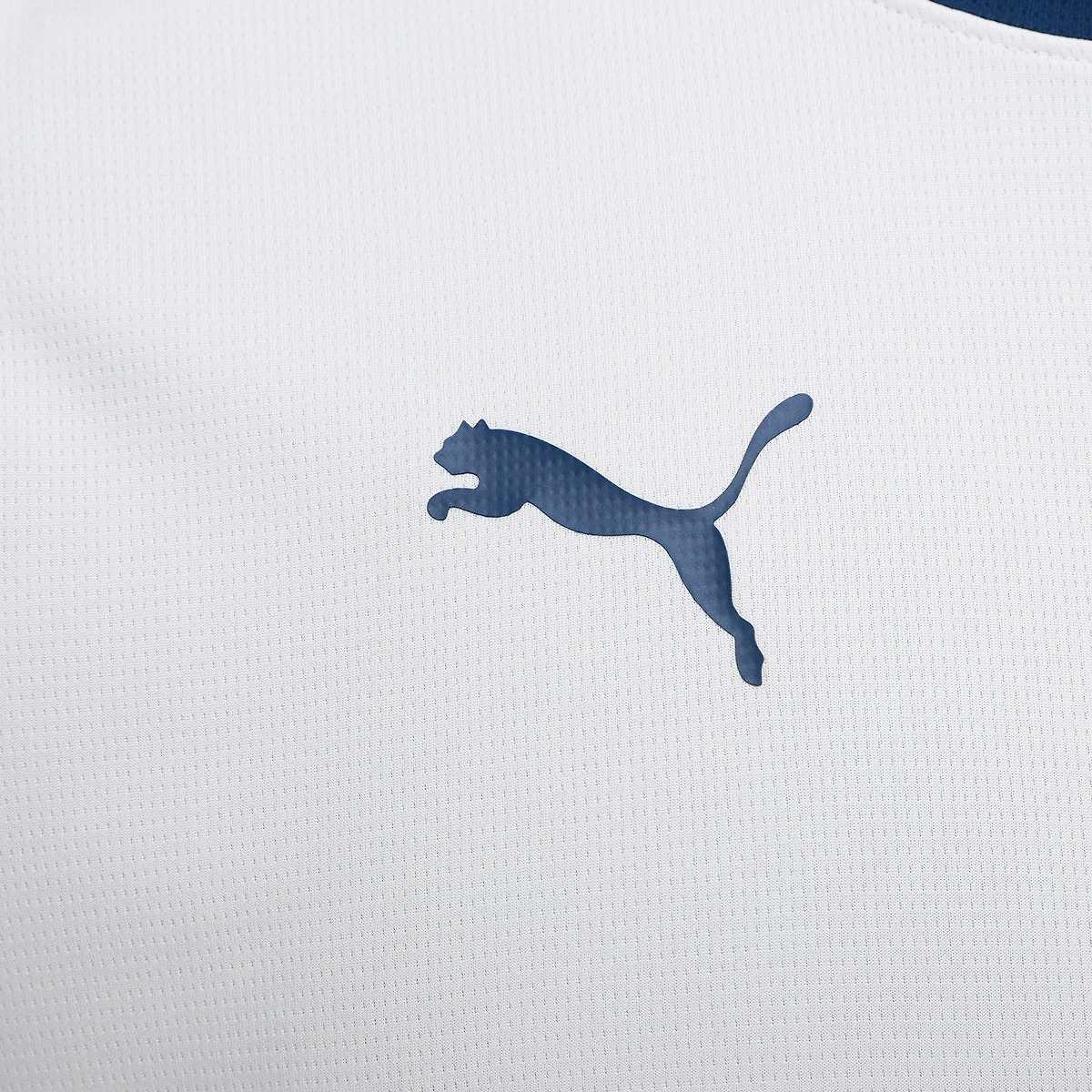 Miniatura Camisa Seleção Portugal Treino 25/26 s/n Torcedor Puma Masculina Bege - EGG