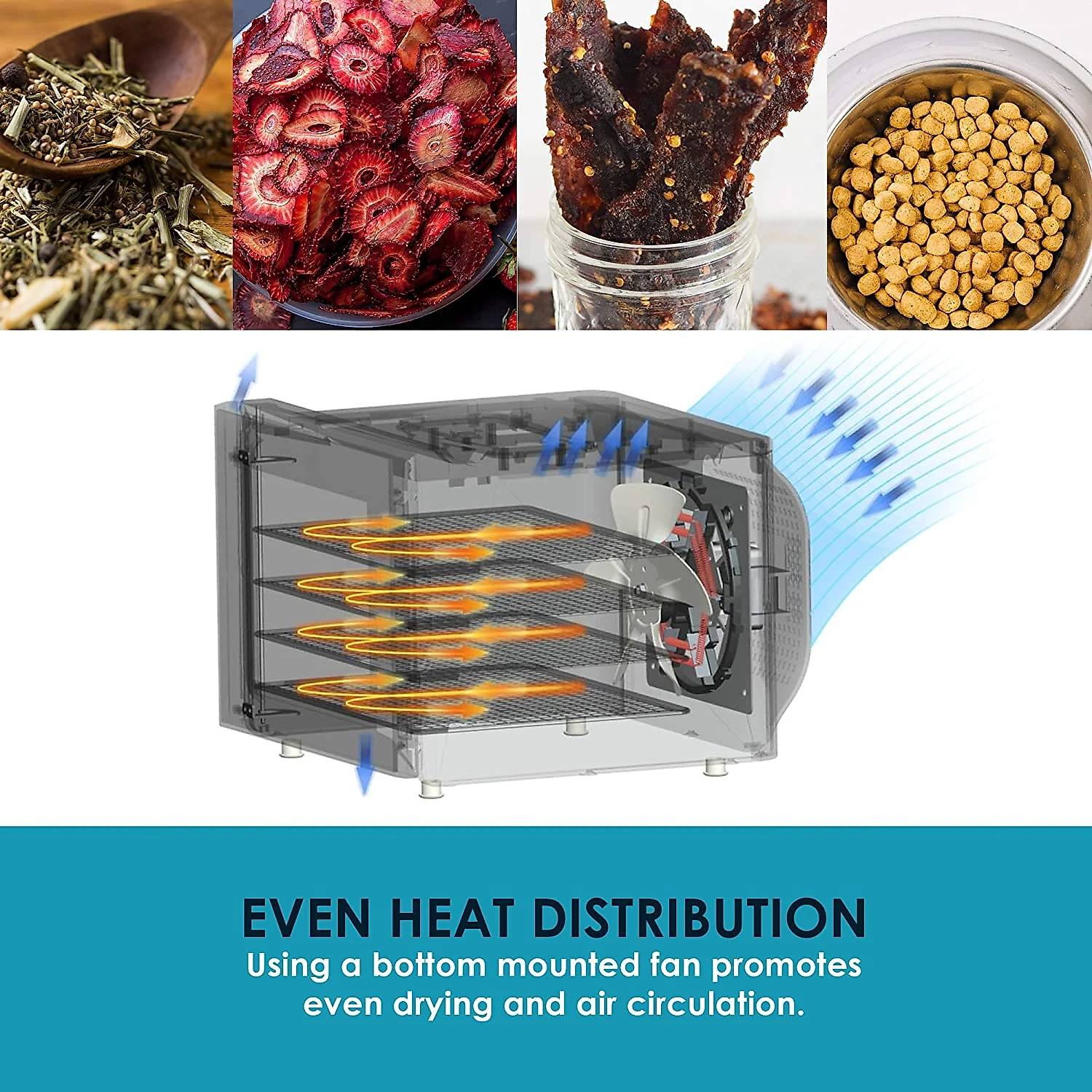 Elite Gourmet Máquina Desidratadora de Alimentos com 4 Bandejas 350W110V Preta