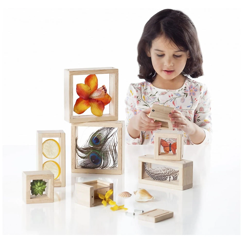 Blocos de Observação Guidecraft Treasure Blocks Transparente Janelas Acrílicas Removíveis Madeira 8 Peças XGC-G3084