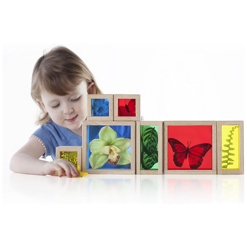 Blocos de Observação Guidecraft Treasure Blocks Primários Madeira e Acrílico Colorido 8 Peças G3085
