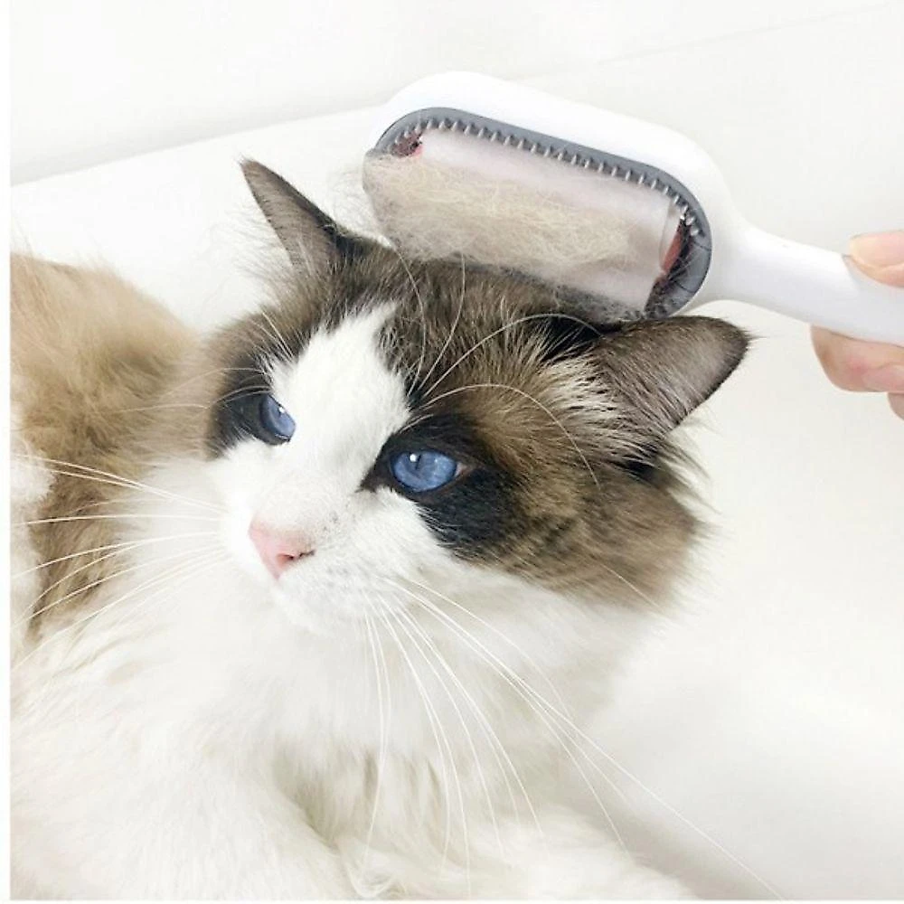 Escova de Cabelo para Animais de Estimação OEM para Cães e Gatos Silicone Rosa 19cm 1 Unidade