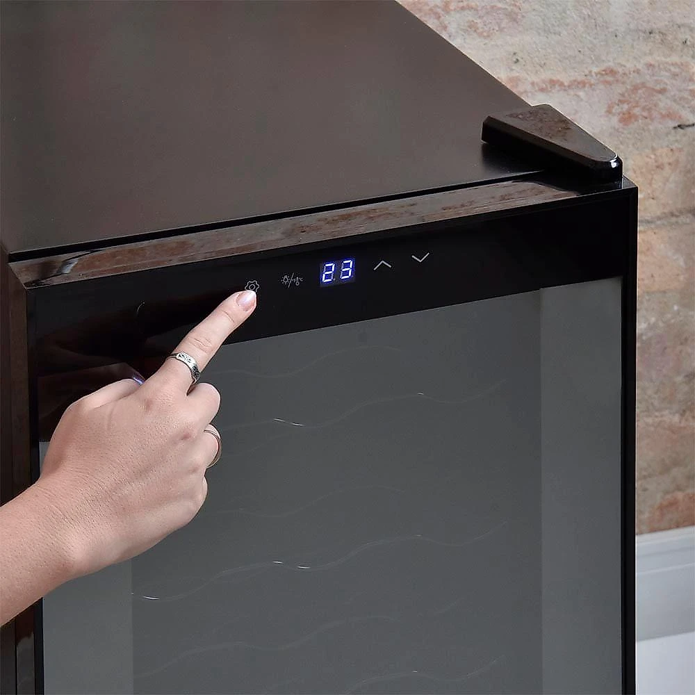 Climatizador termoelétrico 18 garrafas 127v easycooler preto