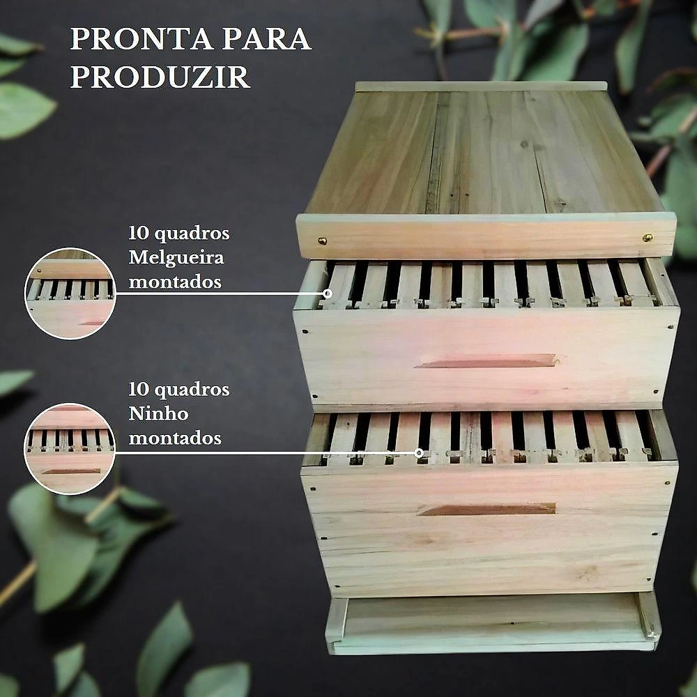 Caixa de Abelha Padrão Langstroth Eucalipto Rosa com 1 Melgueira 20 Quadros Arame Ilhós Beethoven