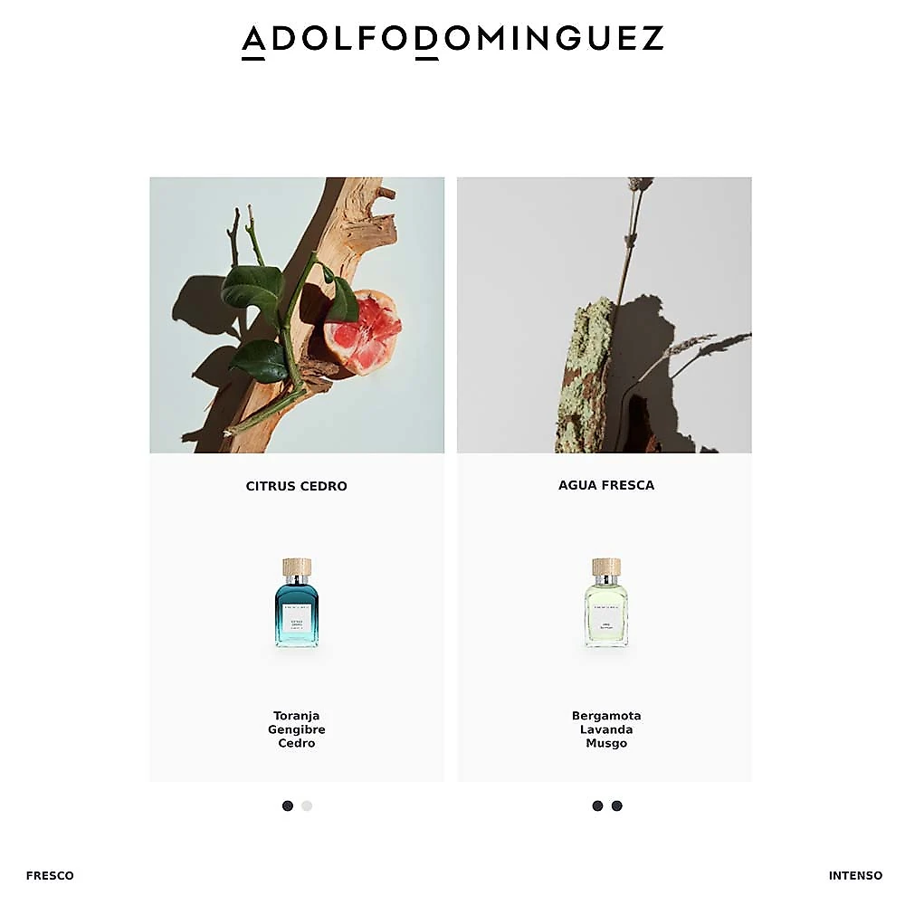 Água Fresca 1993 Adolfo Dominguez - Perfume Masculino - Eau de Toilette 120ml
