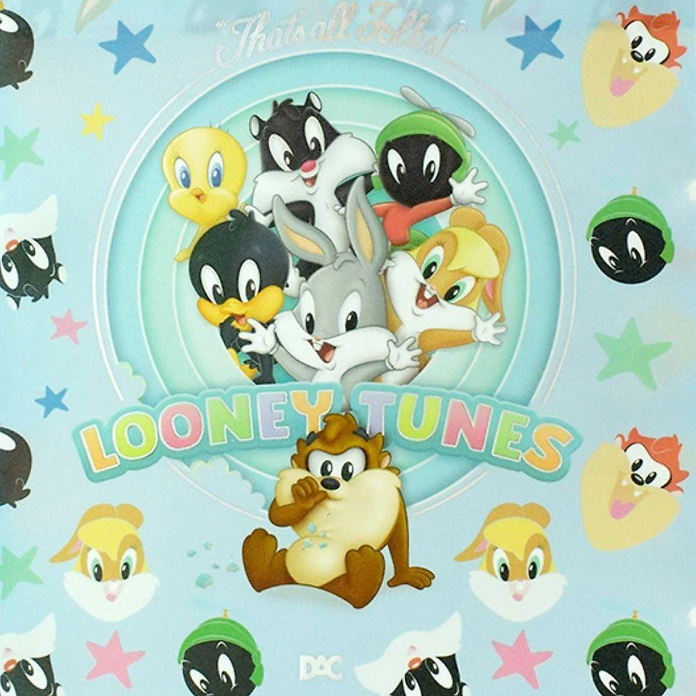 Sacola Para Presente Looney Tunes - Tamanho G - 4876 - Dac