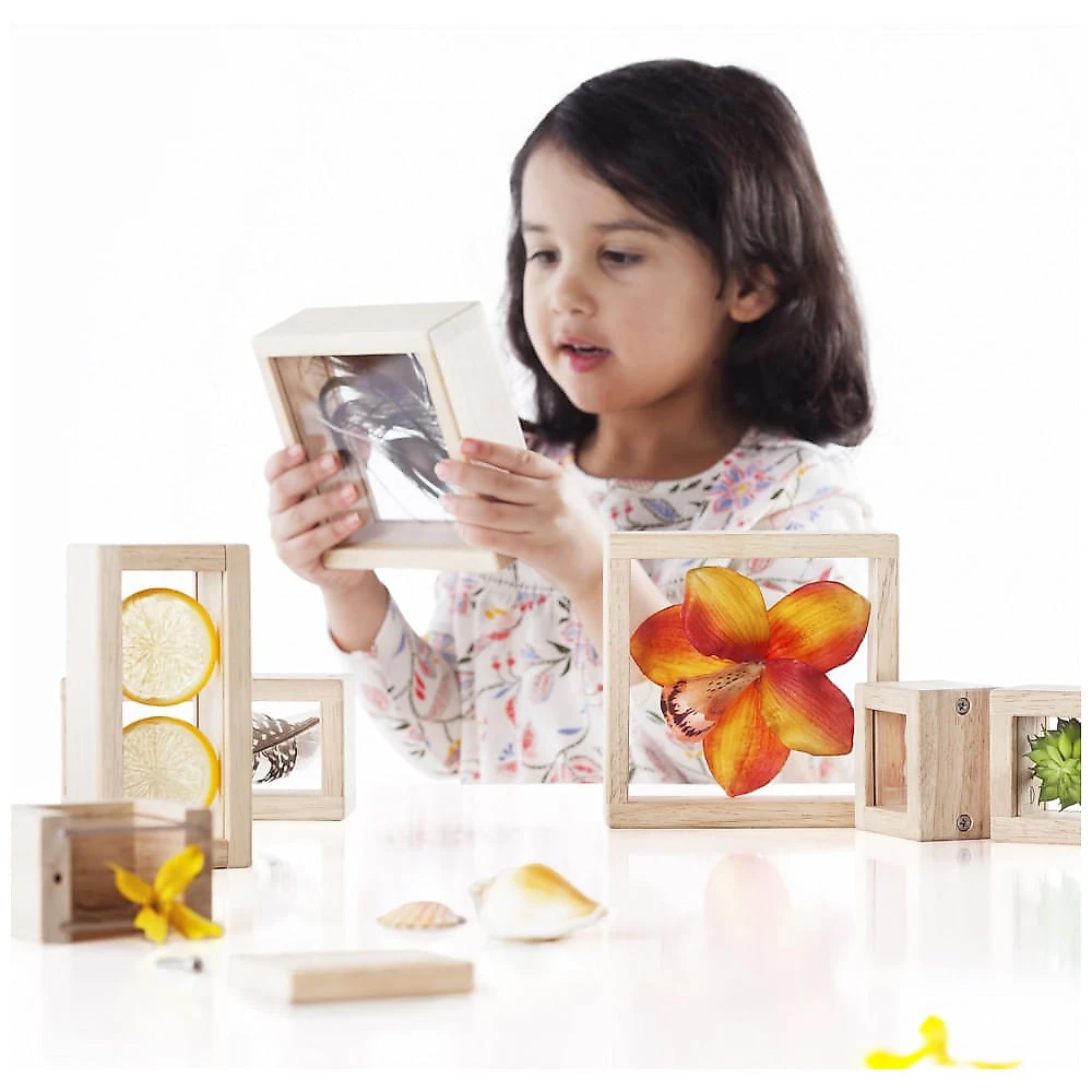 Blocos de Observação Guidecraft Treasure Blocks Transparente Janelas Acrílicas Removíveis Madeira 8 Peças XGC-G3084