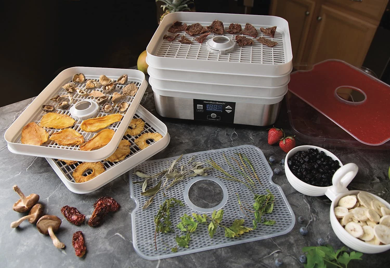 Desidratador de Alimentos Hamilton Beach 32100A 5Tray 500W