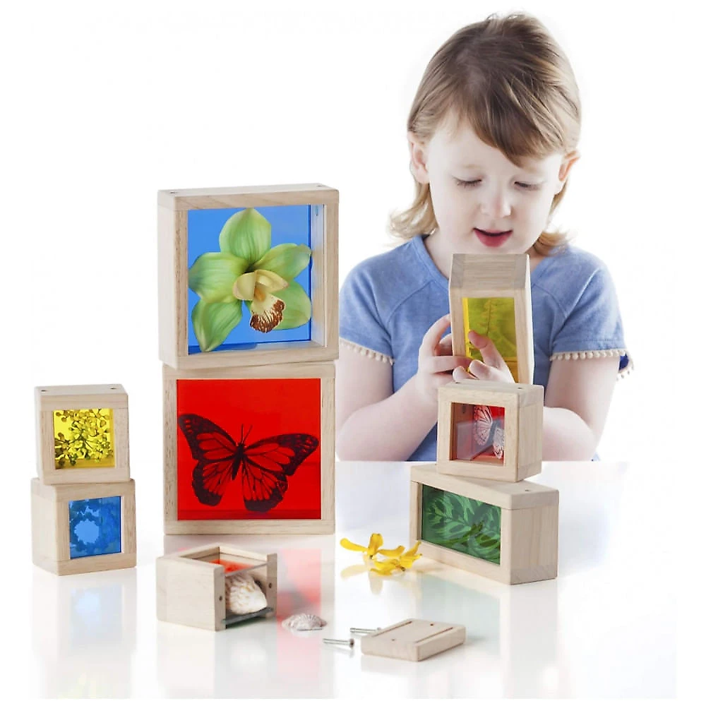 Blocos de Observação Guidecraft Treasure Blocks Primários Madeira e Acrílico Colorido 8 Peças G3085