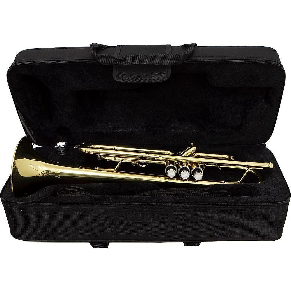 Trompete Tp 200 Laqueado Dourado Com Case New York