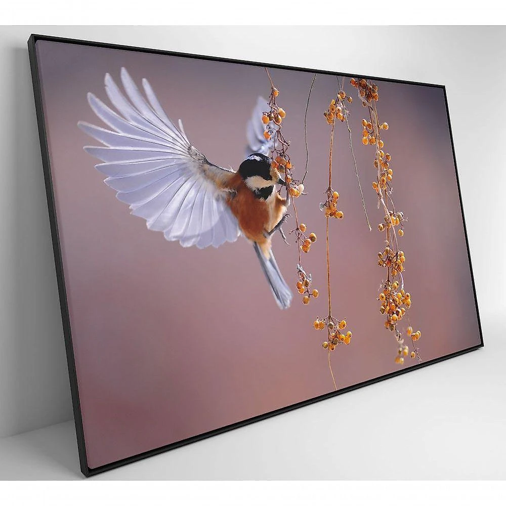 Quadro Beija Flor 120x80 Cm Tecido Canvas