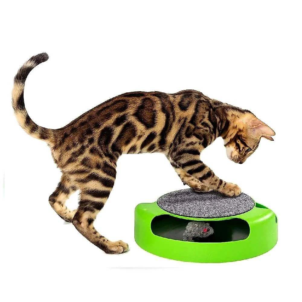 Brinquedo Interativo Para Gatos Arranhador E Rato Giratório