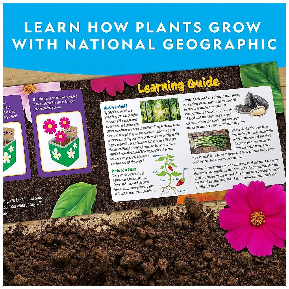 Kit de Jardinagem de Flores e Ervas – Brinquedo Educativo STEM, Cultive em Casa com Potes Decoráveis, Presente Criativo, National Geographic