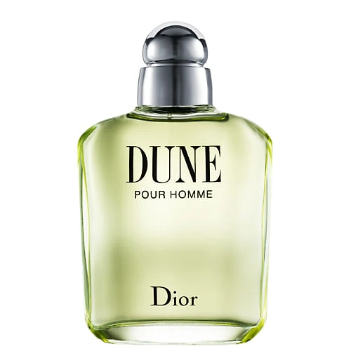 Miniatura Dune Pour Homme Dior - Perfume Masculino - Eau de Toilette 100ml