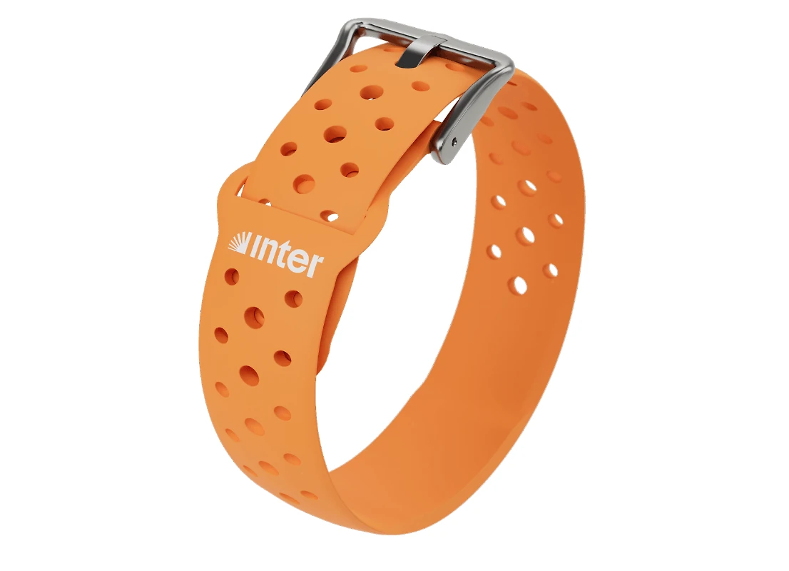 Inter Wristband Orange