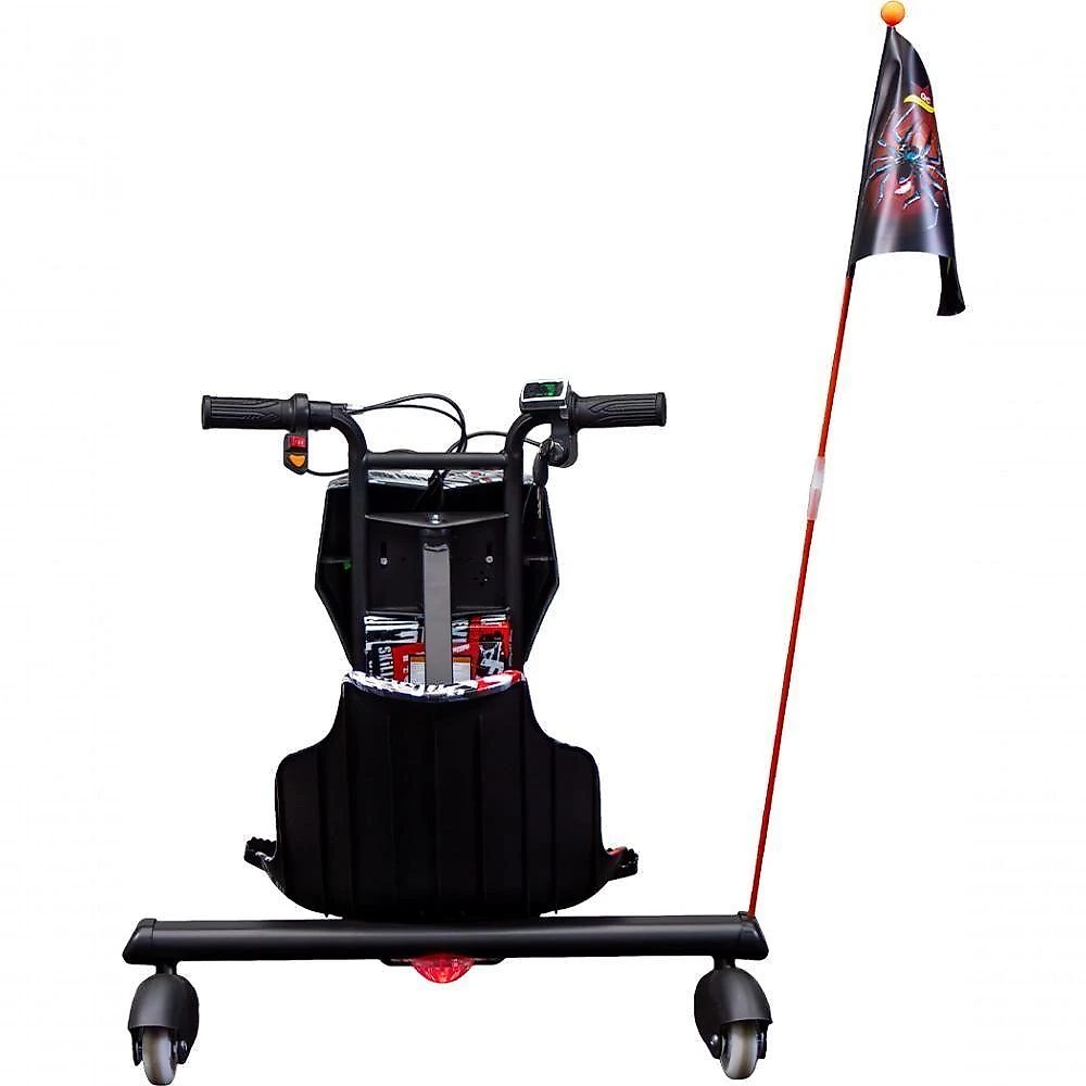Triciclo Elétrico Drift WX-16 Wehawk Motor Brushless 350W Bateria Lítio 36V 4,4Ah Branco