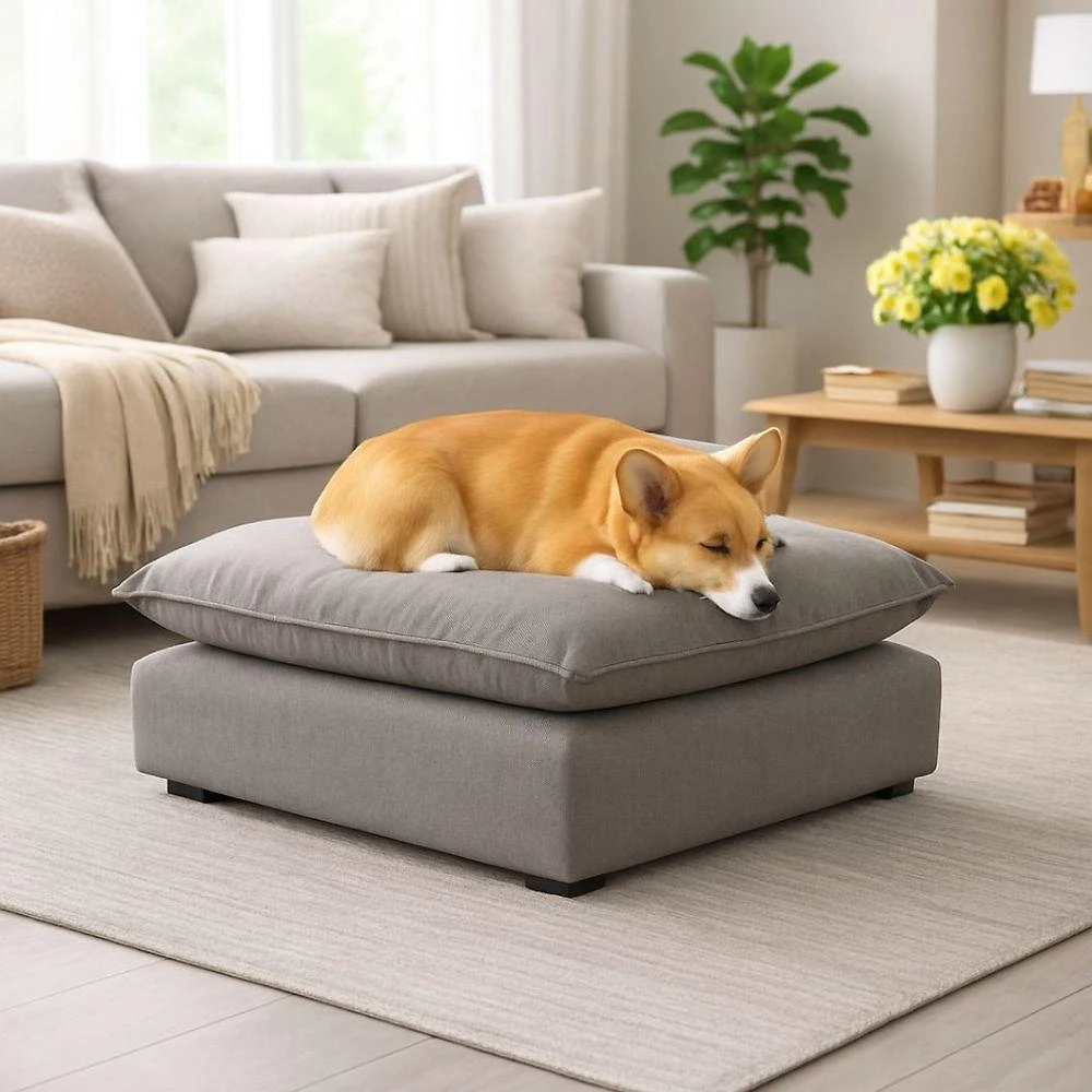 Cama Puff para Pet Black House Decor para Cachorro e Gato em Suede Cinza 1 Unidade