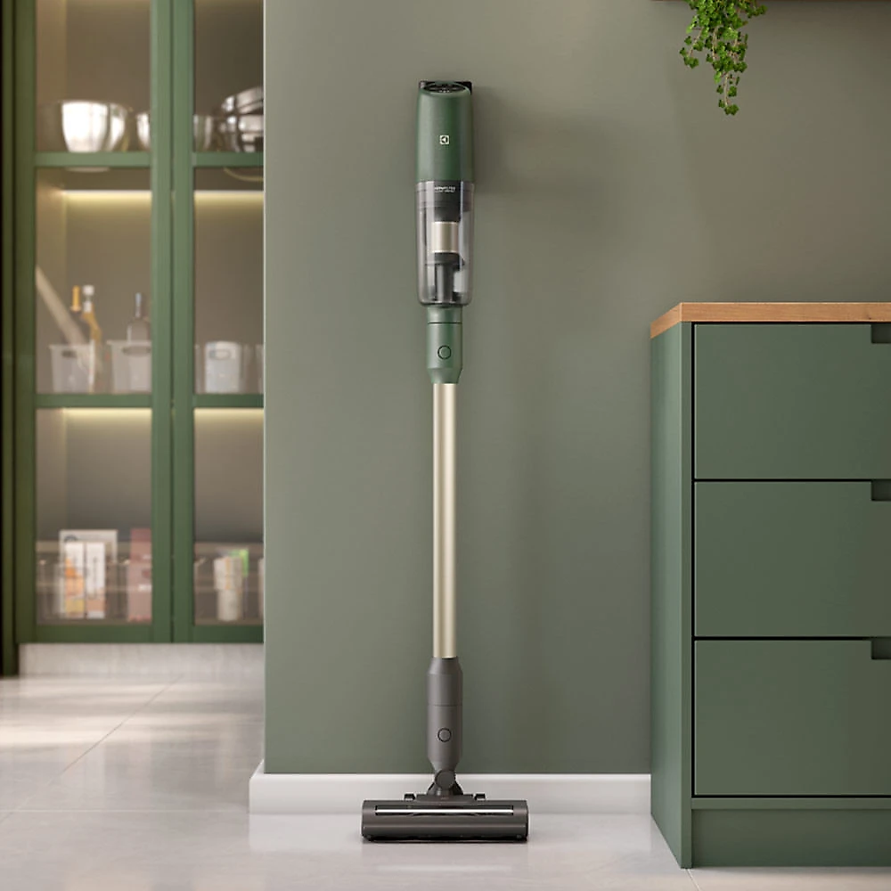 Aspirador de Pó Vertical sem Fio Electrolux Ergorápido Verde Linha 100 Anos Celebre Bem-Estar - PTEC200 Bivolt