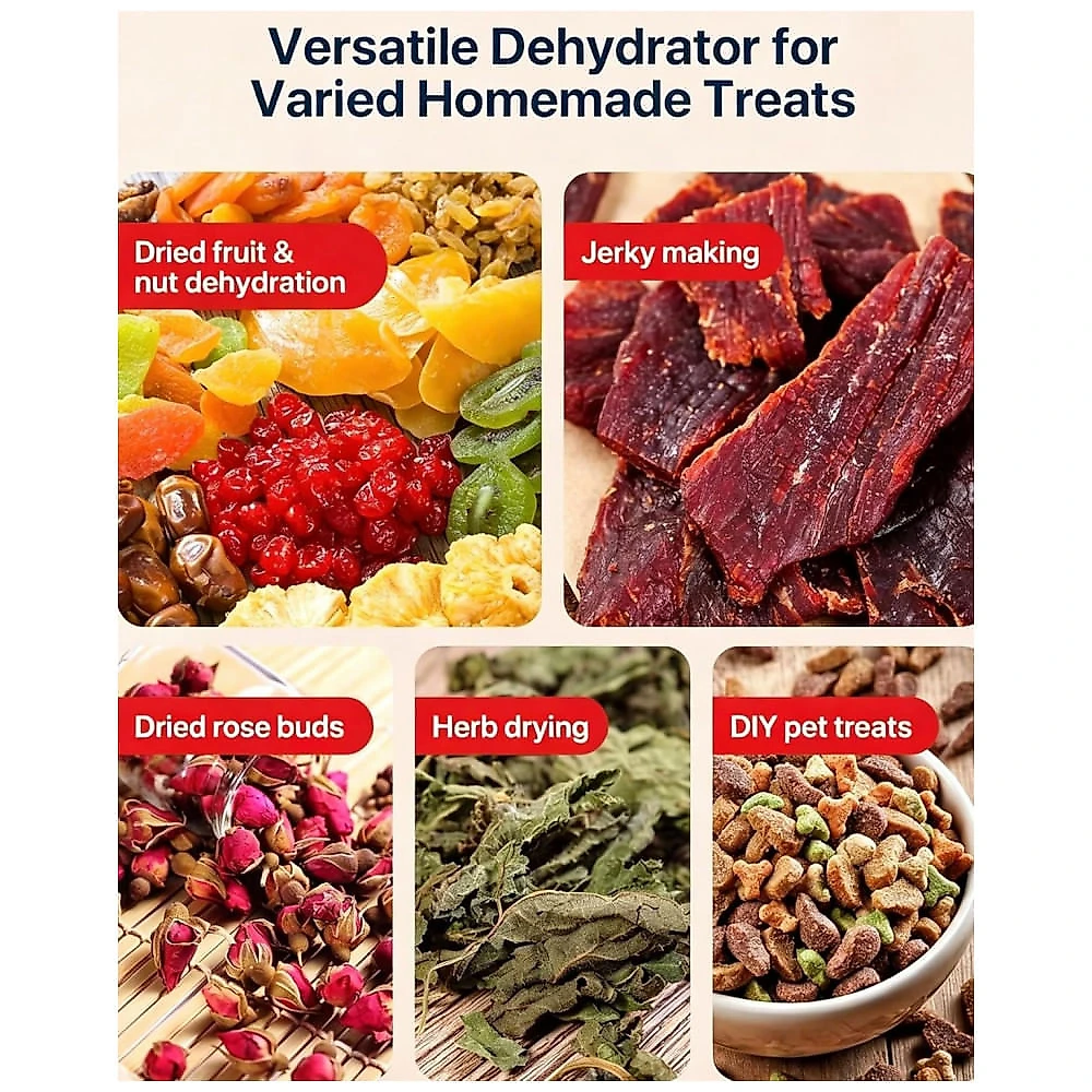 Desidratador de Alimentos Ayovoch H18-C001 18 Bandejas de Aço Inoxidável 800 W 110V Frutas e Carne Seca