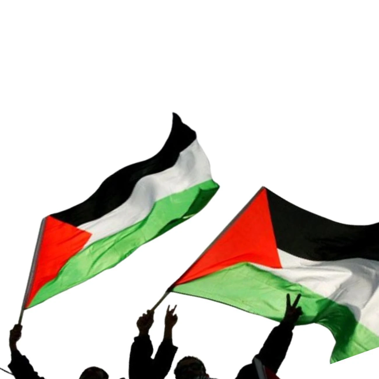 Bandeira Palestina 1,5m x 0,90cm Poliéster Acetinado