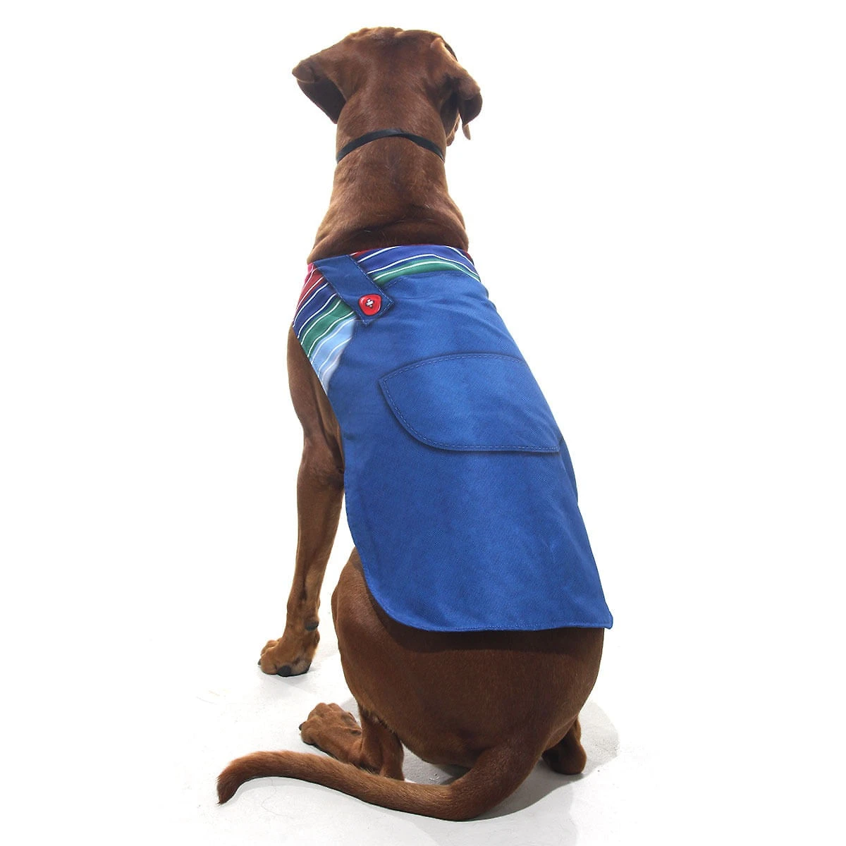 Fantasia para Cachorros Chuck Pet - Halloween
