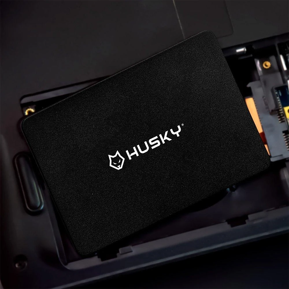Miniatura SSD Husky, SATA III, 256GB, 2.5", Leitura 500MB/s, Gravação 450MB/s, Preto - HSSD001256