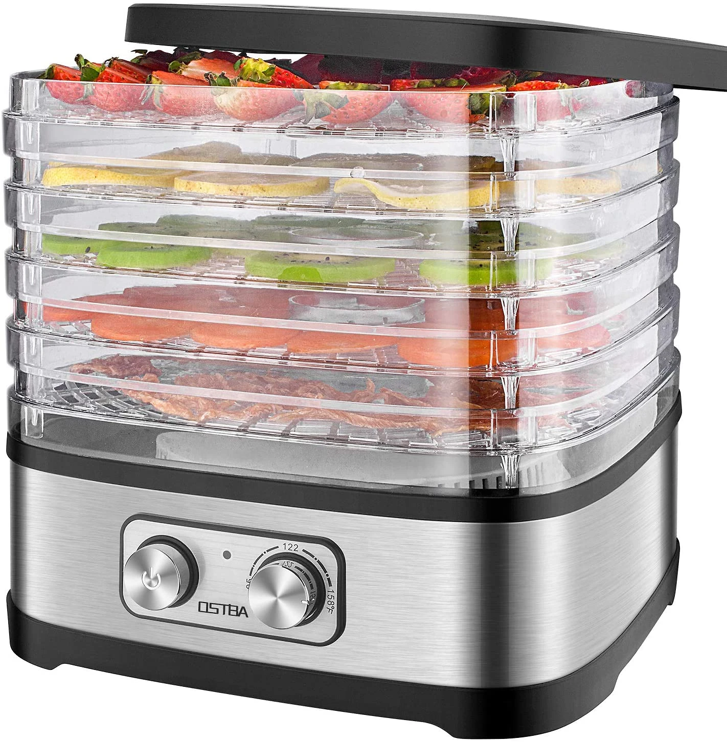 OSTBA Desidratador de Alimentos Controle de Temperatura Ajustável 5 Bandejas sem BPA 240W Prata 110V