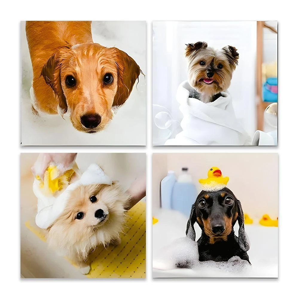 Kit 4 Quadros Decorativos Pet Shop Cachorro Gato Placas Mdf