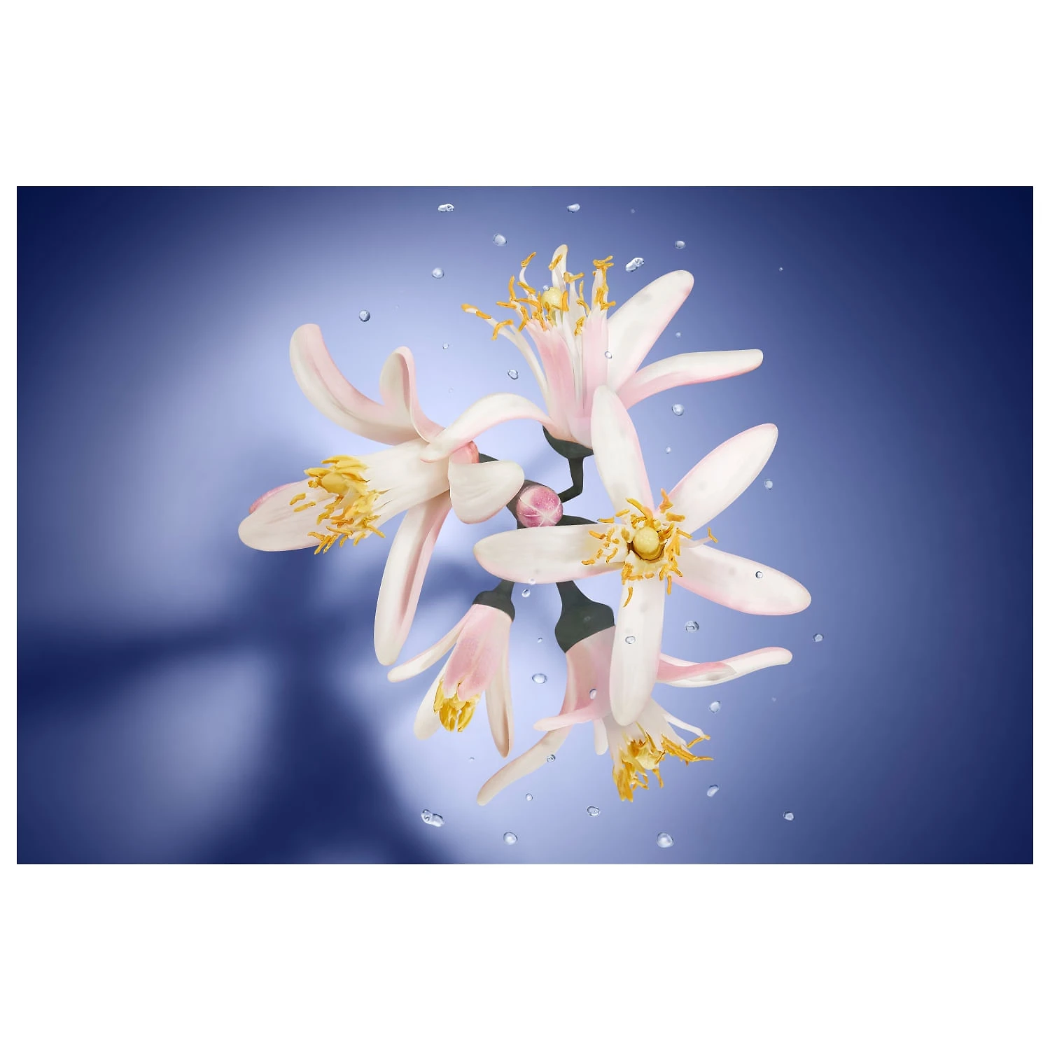 La Vie Est Belle Lancôme Edp - Perfume Feminino 100ml