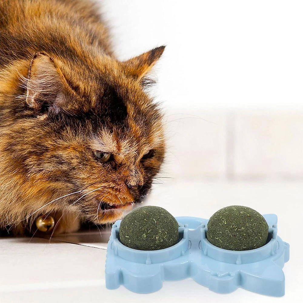 Brinquedo Erva De Gato Pet Bola Bolinha Menta Catnip Animal De Estimaçao Interativo Diversao Lazer
