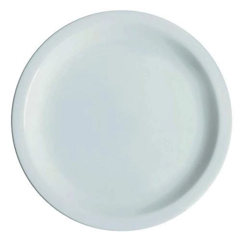 Kit 10 Pratos De Mesa Porcelana Iguaçu Almoço Jantar Germer