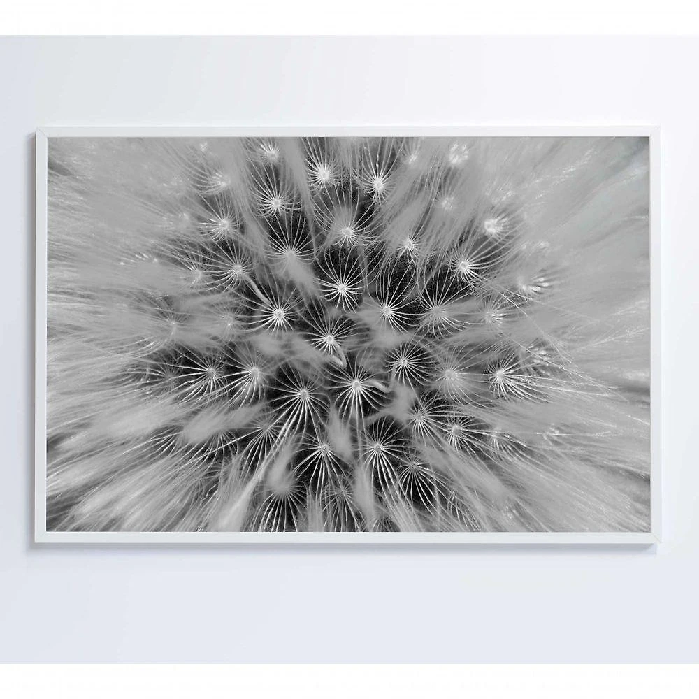 Quadro Dente De Leão Zoom 120x80 Cm Adesivo Fotográfico