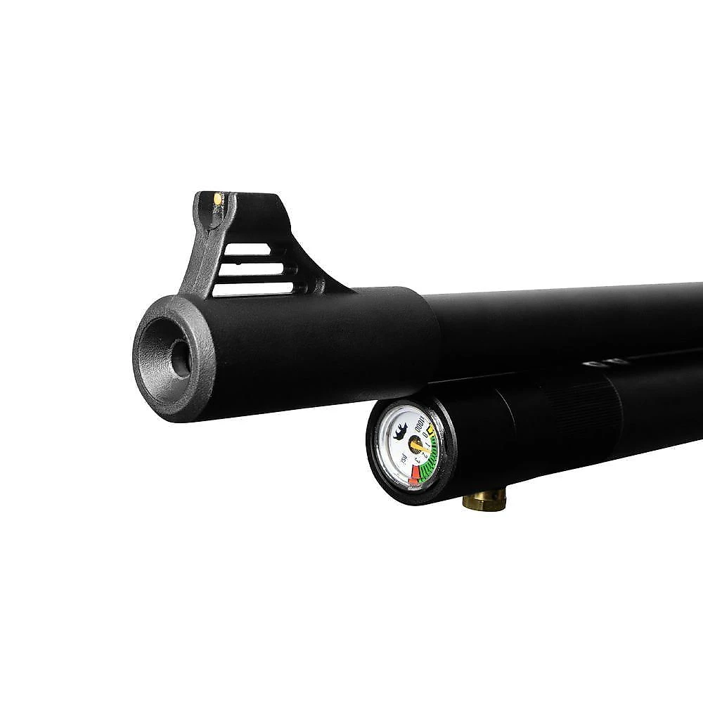 Carabina Pcp G850 5,5mm +luneta 4x32eg+capa+muni+bomba+alvo 5.5 Mm Preto
