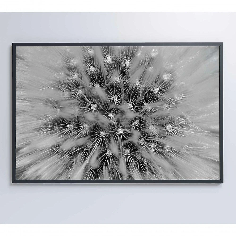 Quadro Dente De Leão Zoom 120x80 Cm Adesivo Fotográfico