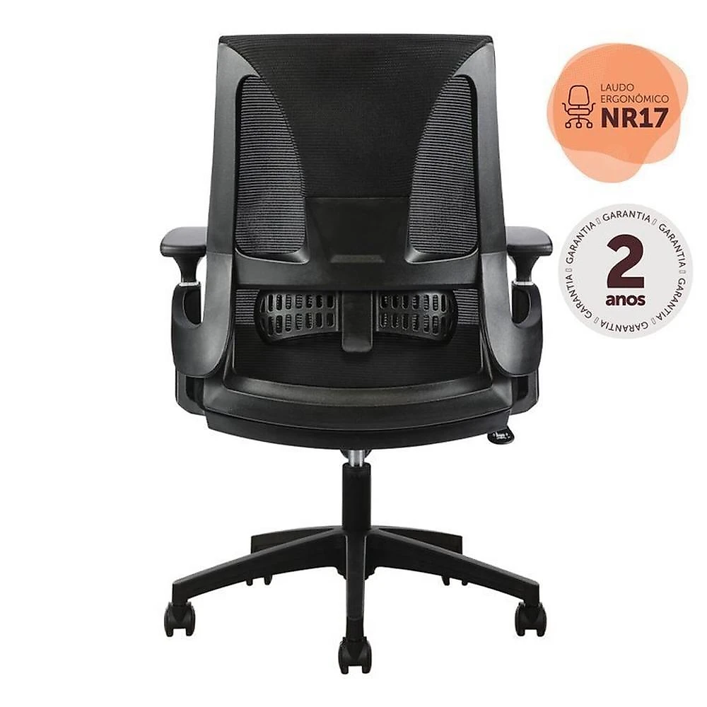 Kit com 4 Cadeiras Office Diretor Toledo com Braços 3D NR17 Kit com 4 Cadeiras Office Diretor Toledo com Braços 3d Office Nr17 Preto