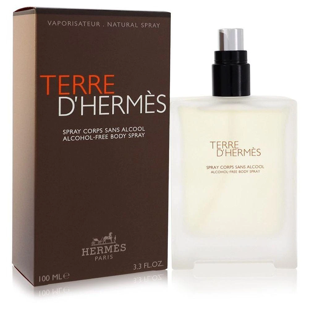 Perfume Masculino Terre D'hermes Hermes 100 Ml Desodorante