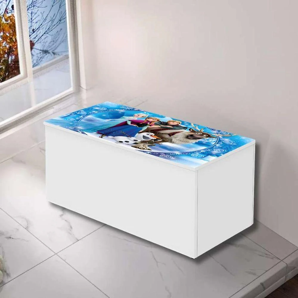 Baú Adesivado Infantil Personagens Frozen