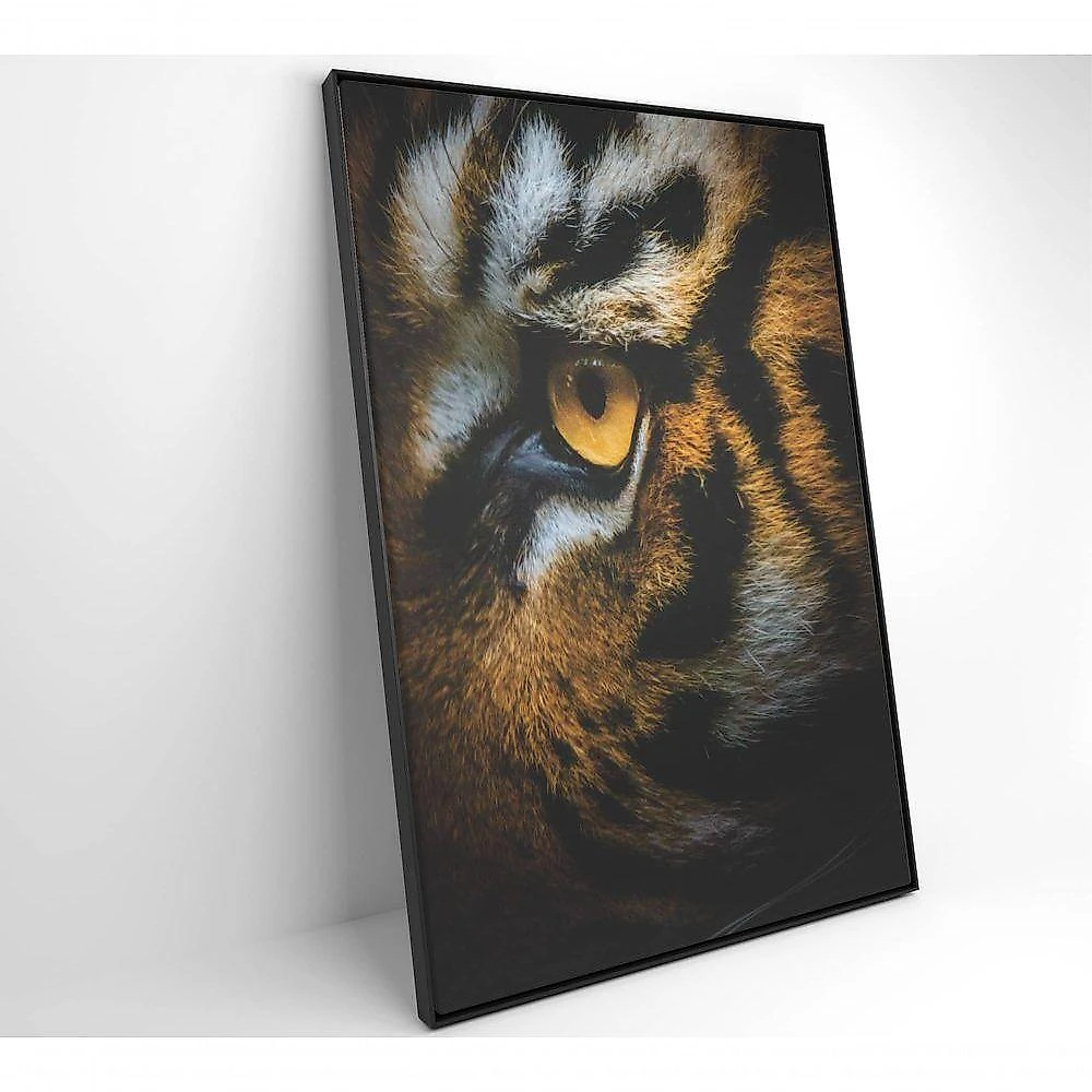 Quadro Olho Do Tigre 60x90 Cm Adesivo Fotográfico