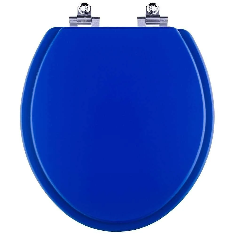 Assento Sanitário Convencional Oval Polipropileno Parafusado Fechamento Suave Azul Pontto Lavabo