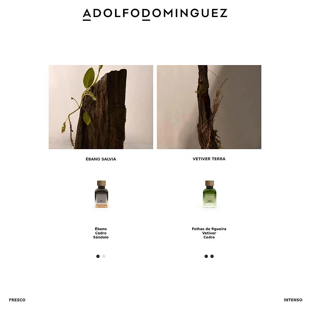 Vetiver terra adolfo dominguez - perfume masculino - eau de parfum